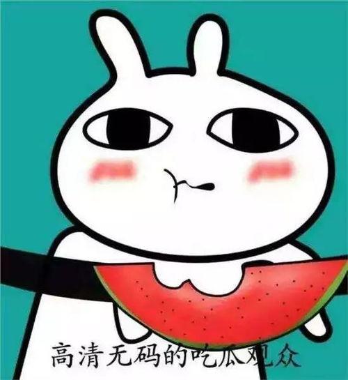 吃瓜表情包图,揭秘网络社交中的幽默与讽刺